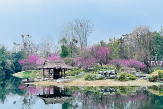 浣花溪公园有哪些花