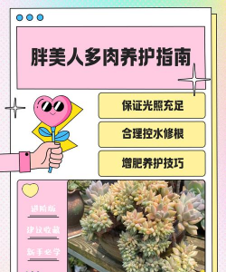 小众送妈妈的花有哪些花
