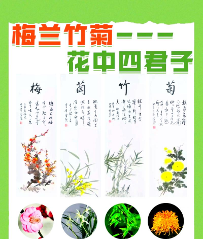 小众送妈妈的花有哪些花