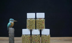 小众送妈妈的花有哪些花