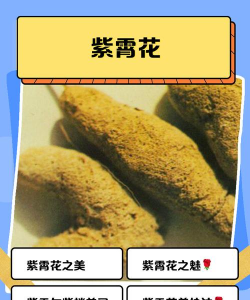 小众送妈妈的花有哪些花