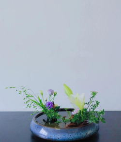 小众送妈妈的花有哪些花