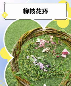 柳枝能用来做什么