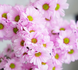 小众送妈妈的花有哪些花