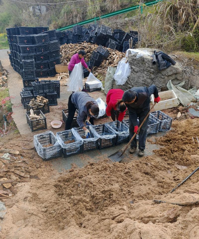 小众送妈妈的花有哪些花