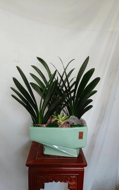 小众送妈妈的花有哪些花