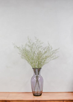 小众送妈妈的花有哪些花