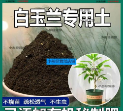 小众送妈妈的花有哪些花