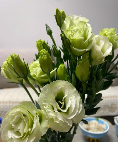 小众送妈妈的花有哪些花