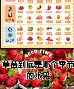 草莓一年四季都能种吗