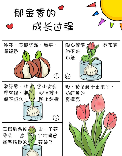 小众送妈妈的花有哪些花