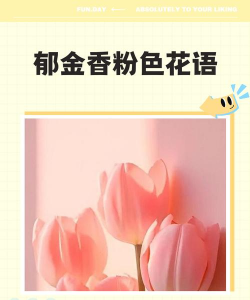 小众送妈妈的花有哪些花