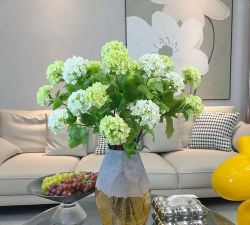 小众送妈妈的花有哪些花