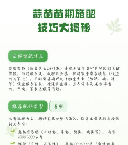 蒜苗怎么施肥料