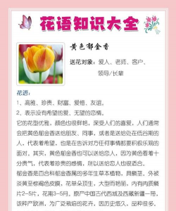 小众送妈妈的花有哪些花
