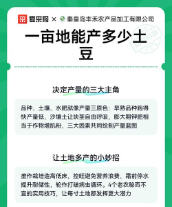 一亩土豆能产多少斤土豆