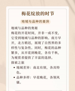 梅花几点开放的时间