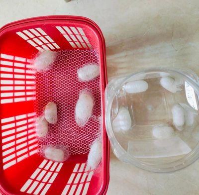 小众送妈妈的花有哪些花