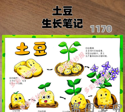 土豆的生长周期多少天