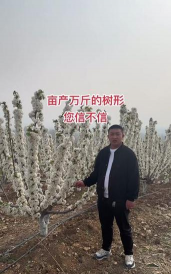 小众送妈妈的花有哪些花