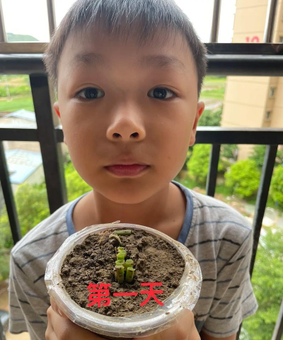 小众送妈妈的花有哪些花