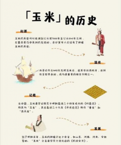 玉米什么时候传入中国的 玉米什么时候传入中国的