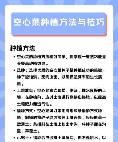 空心菜怎么种植