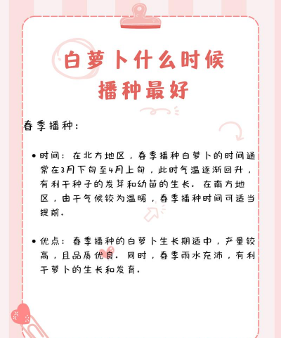 萝卜最佳种植时间
