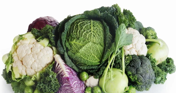 十字花科的蔬菜和水果有哪些