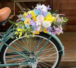 小众送妈妈的花有哪些花