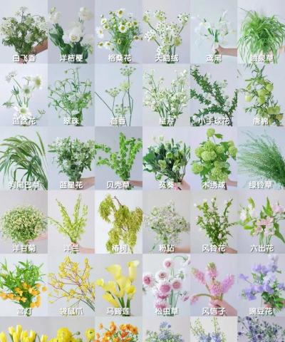 小众送妈妈的花有哪些花