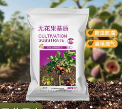 小众送妈妈的花有哪些花