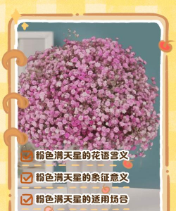 小众送妈妈的花有哪些花