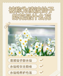 小众送妈妈的花有哪些花