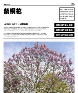 小众送妈妈的花有哪些花