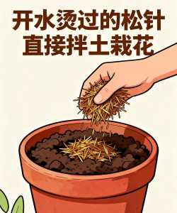 小众送妈妈的花有哪些花