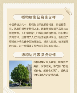 梧桐树的寓意及象征