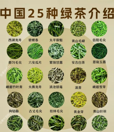 绿茶有哪些品种