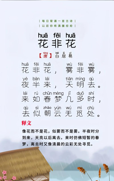 小众送妈妈的花有哪些花