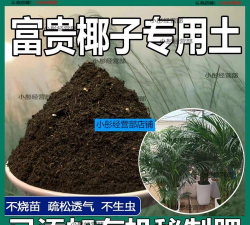 小众送妈妈的花有哪些花