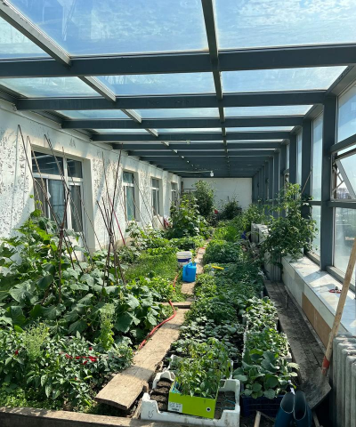 小众送妈妈的花有哪些花