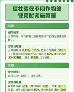 矮壮素的最佳使用时间