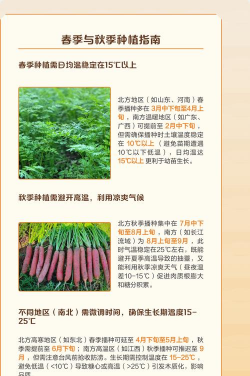 胡萝卜几月份种