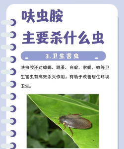 呋虫胺杀哪些虫