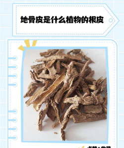 地骨皮是什么植物的皮
