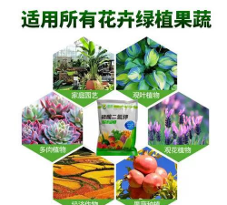 小众送妈妈的花有哪些花