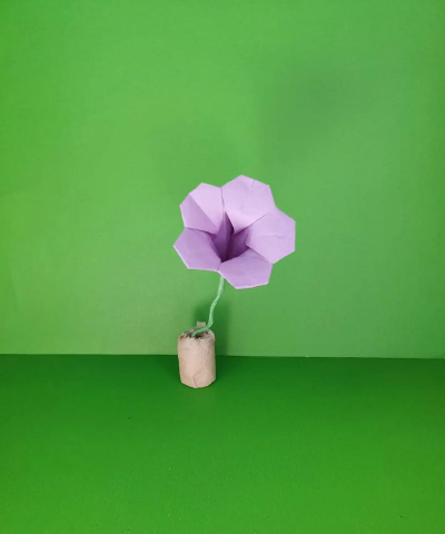 小众送妈妈的花有哪些花