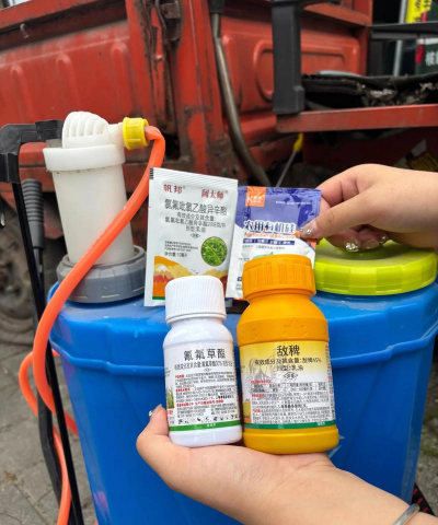 小众送妈妈的花有哪些花