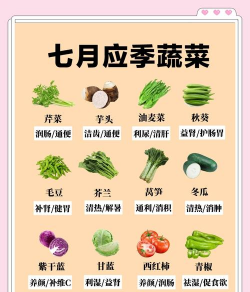 夏天有什么蔬菜