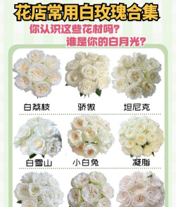 小众送妈妈的花有哪些花